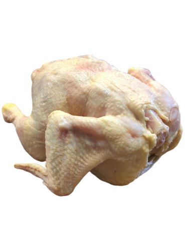Fresh Whole Natural Hormone Free Chicken