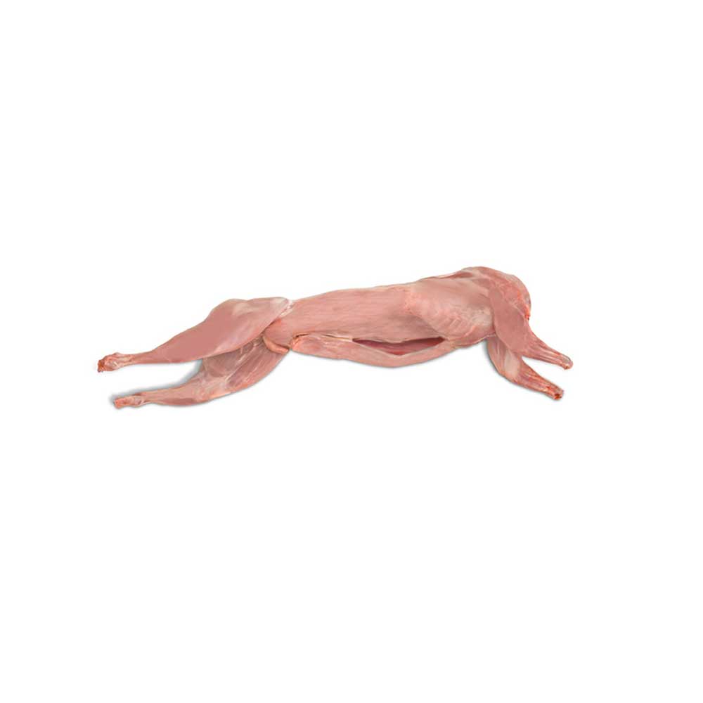 Whole Spanish Rabbit – Esposito Meats